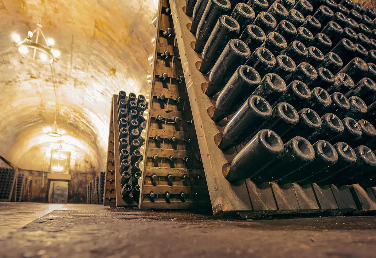 champange cellar nigab wine bottles2 e1611151308526 copy